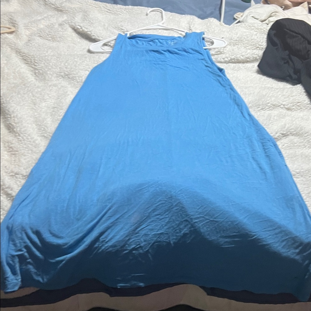 Time and Tru Vibrant Blue dress
